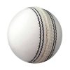 Sports Leather Cricket Ball, White, Medium